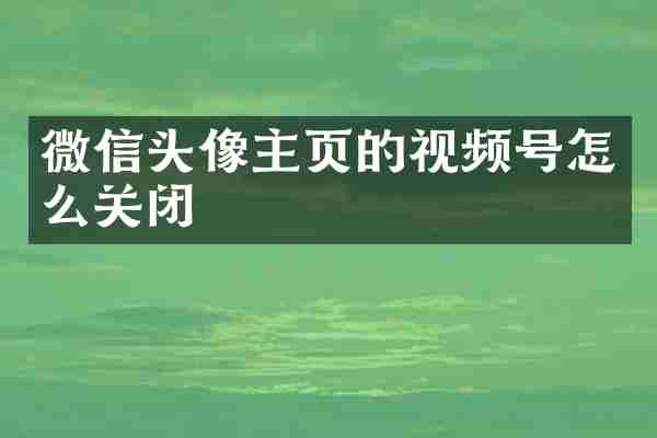 微信头像主页的视频号怎么关闭