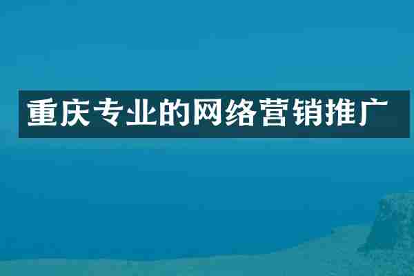 重庆专业的网络营销推广