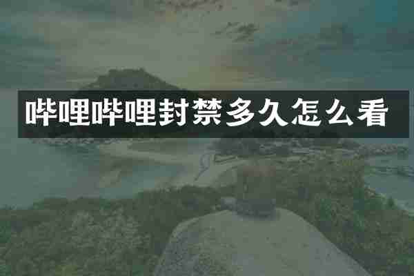 哔哩哔哩封禁多久怎么看