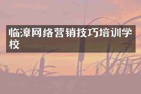 临漳网络营销技巧培训学校