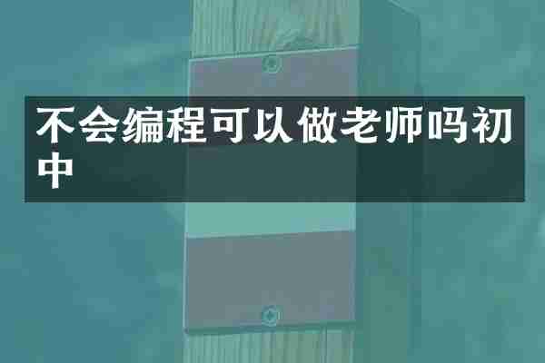 不会编程可以做老师吗初中