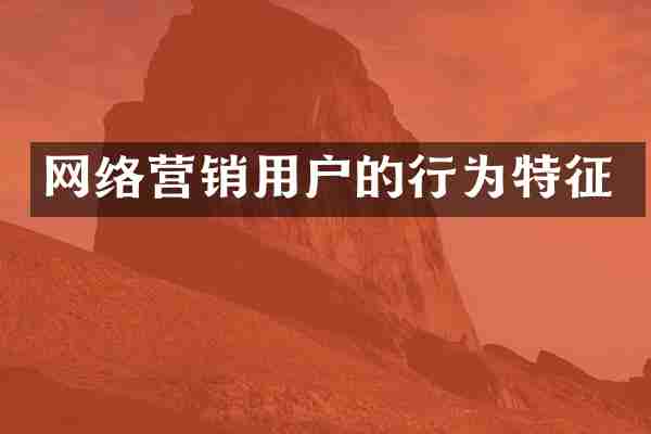 网络营销用户的行为特征