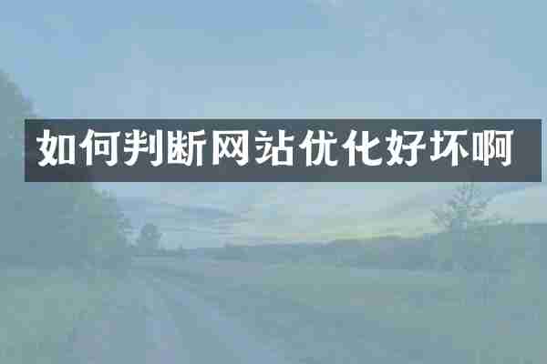 如何判断网站优化好坏啊