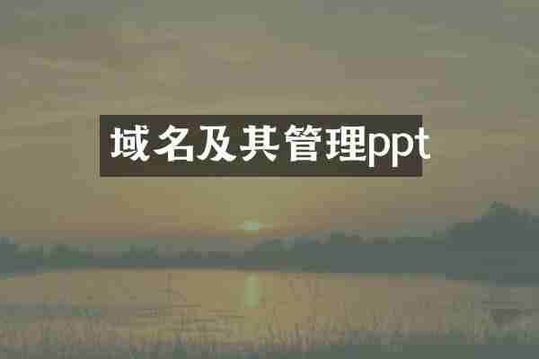 域名及其管理ppt