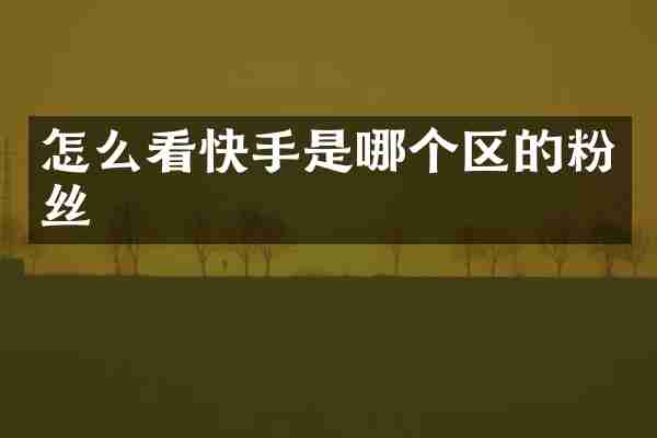 怎么看快手是哪个区的粉丝