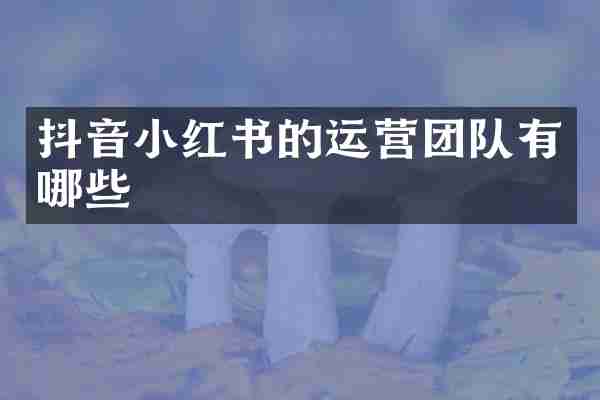 抖音小红书的运营团队有哪些