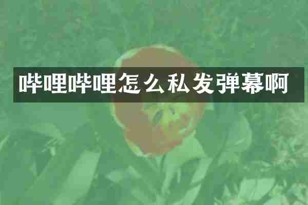 哔哩哔哩怎么私发弹幕啊