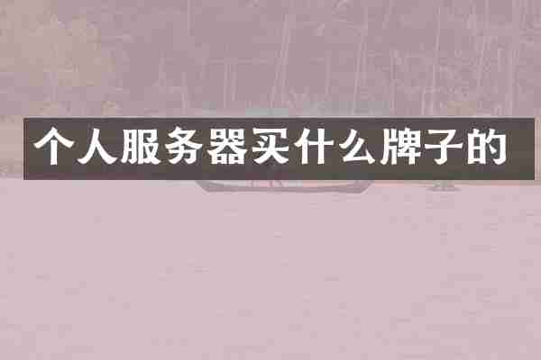 个人服务器买什么牌子的