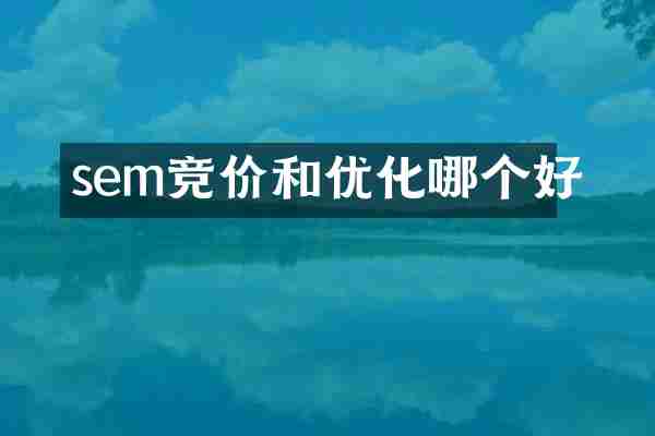 sem竞价和优化哪个好