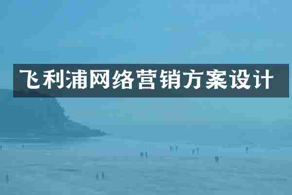 飞利浦网络营销方案设计