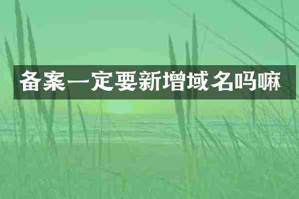 备案一定要新增域名吗嘛