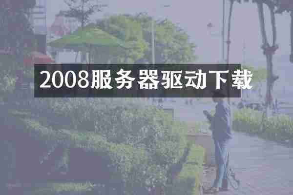 2008服务器驱动下载