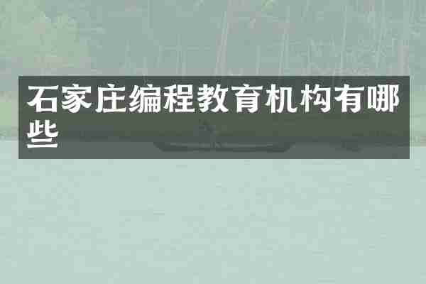 石家庄编程教育机构有哪些