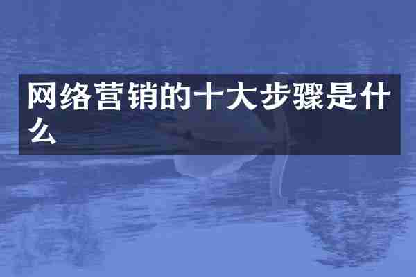 网络营销的十大步骤是什么