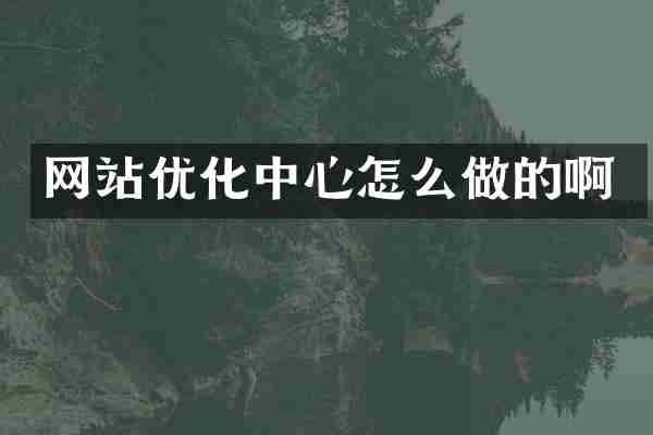 网站优化中心怎么做的啊