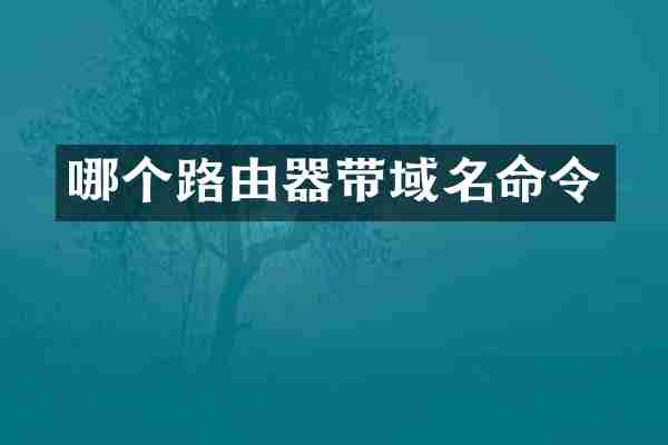 哪个路由器带域名命令