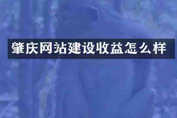 肇庆网站建设收益怎么样