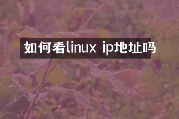 如何看linux ip地址吗
