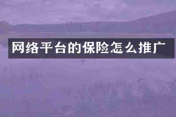 网络平台的保险怎么推广