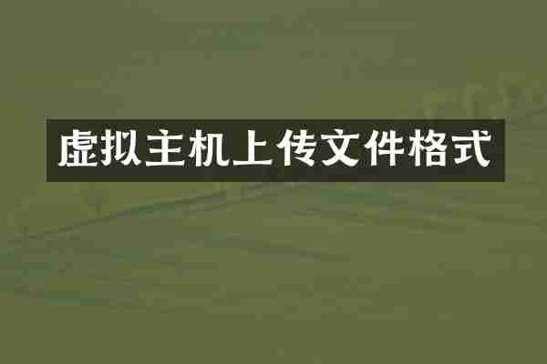 虚拟主机上传文件格式