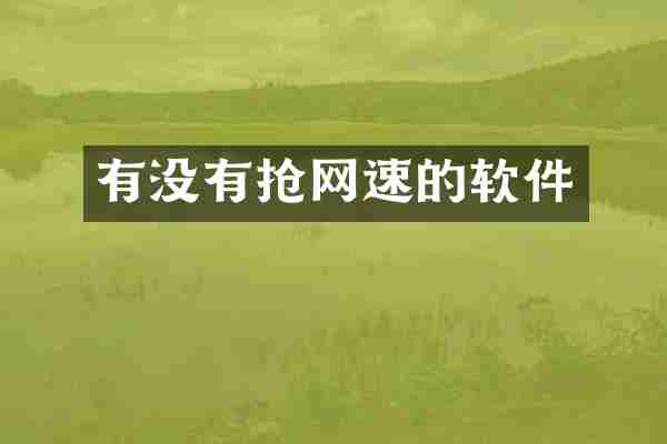 有没有抢网速的软件