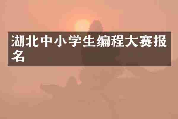 湖北中小学生编程大赛报名