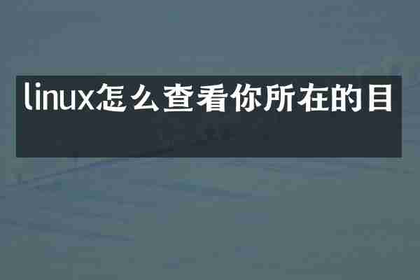 linux怎么查看你所在的目录