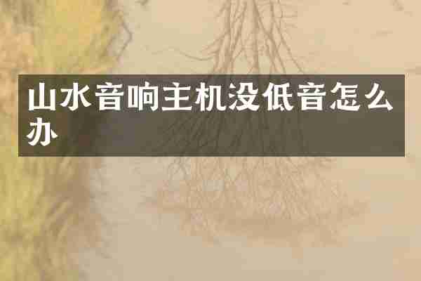 山水音响主机没低音怎么办