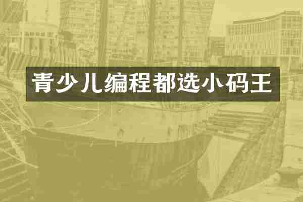 青少儿编程都选小码王
