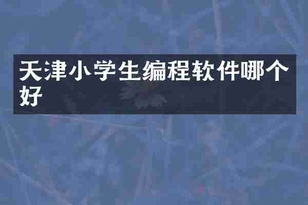 天津小学生编程软件哪个好