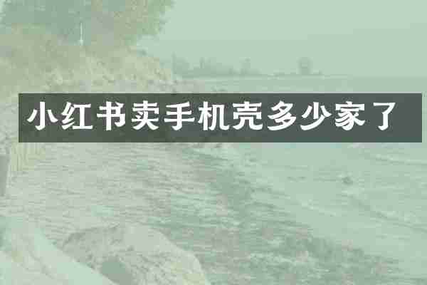 小红书卖手机壳多少家了