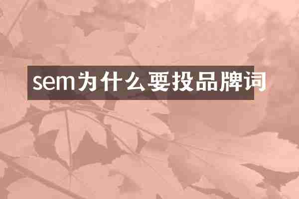 sem为什么要投品牌词