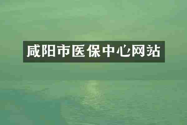 咸阳市医保中心网站
