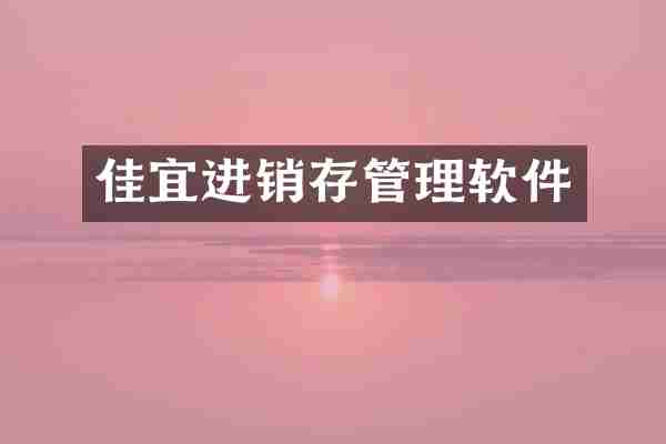 佳宜进销存管理软件