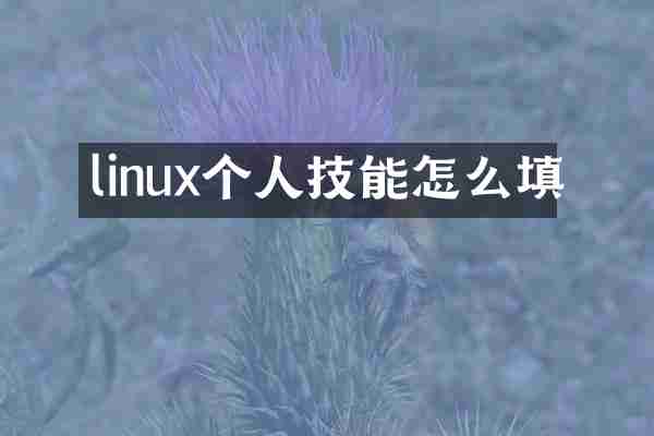 linux个人技能怎么填