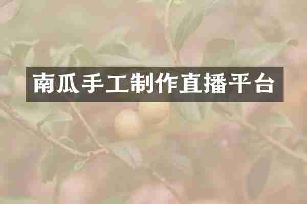 南瓜手工制作直播平台
