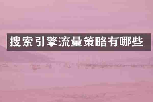 搜索引擎流量策略有哪些