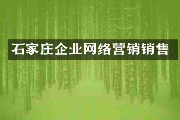 石家庄企业网络营销销售