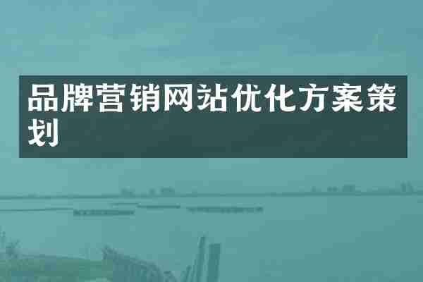 品牌营销网站优化方案策划
