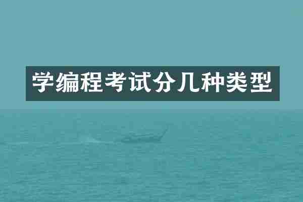 学编程考试分几种类型