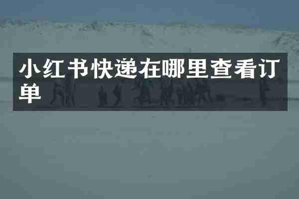 小红书快递在哪里查看订单