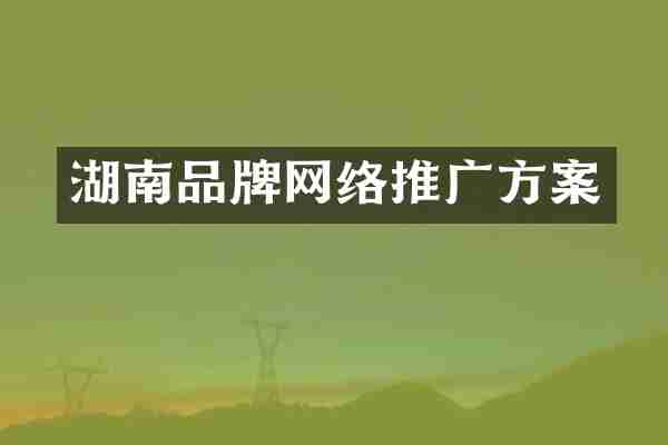 湖南品牌网络推广方案