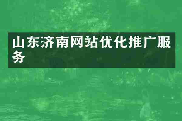 山东济南网站优化推广服务