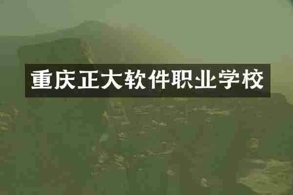 重庆正大软件职业学校