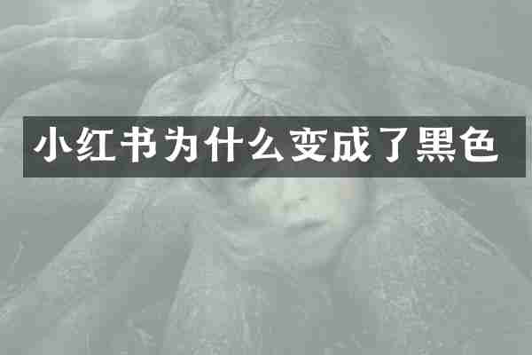 小红书为什么变成了黑色