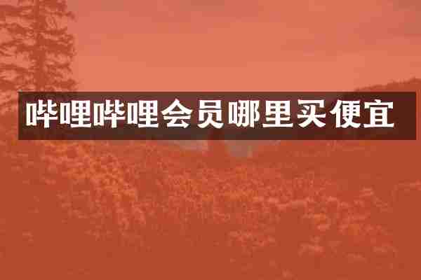 哔哩哔哩会员哪里买便宜