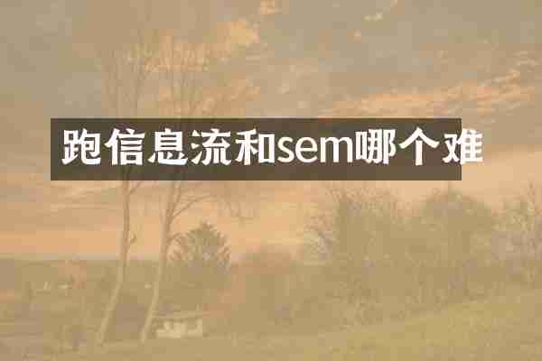 跑信息流和sem哪个难