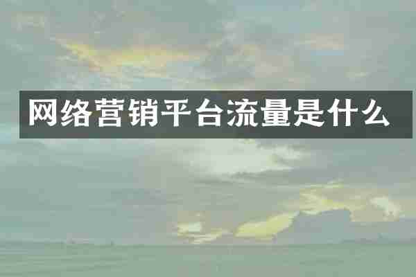 网络营销平台流量是什么
