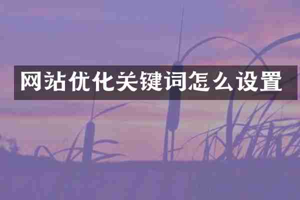 网站优化关键词怎么设置