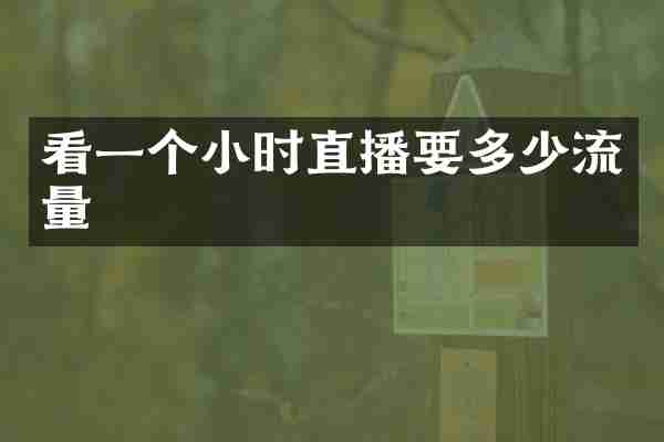 看一个小时直播要多少流量